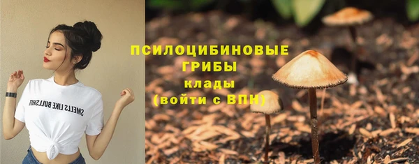 сатива Армянск