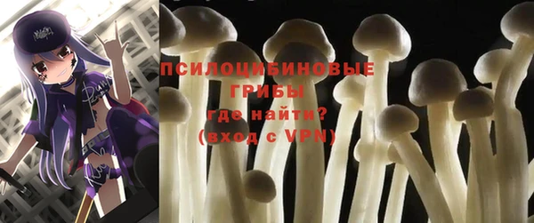 мяу мяу мука Алексеевка