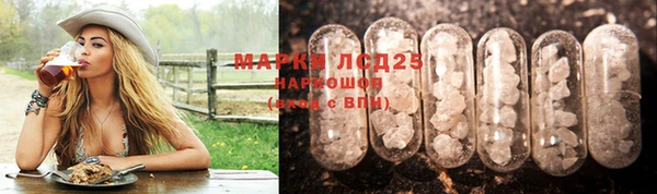сатива Армянск