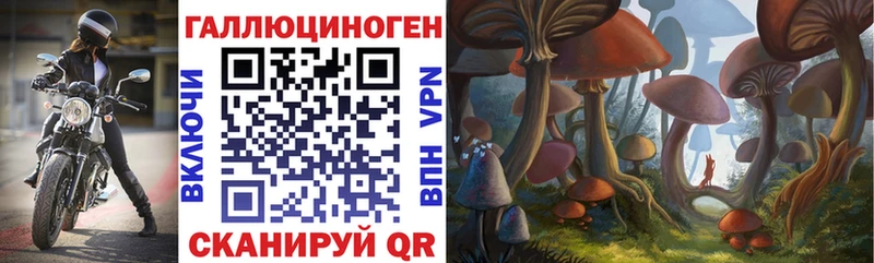 Псилоцибиновые грибы Cubensis  наркошоп  Мамадыш 